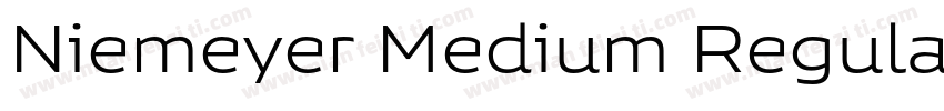 Niemeyer Medium Regular字体转换